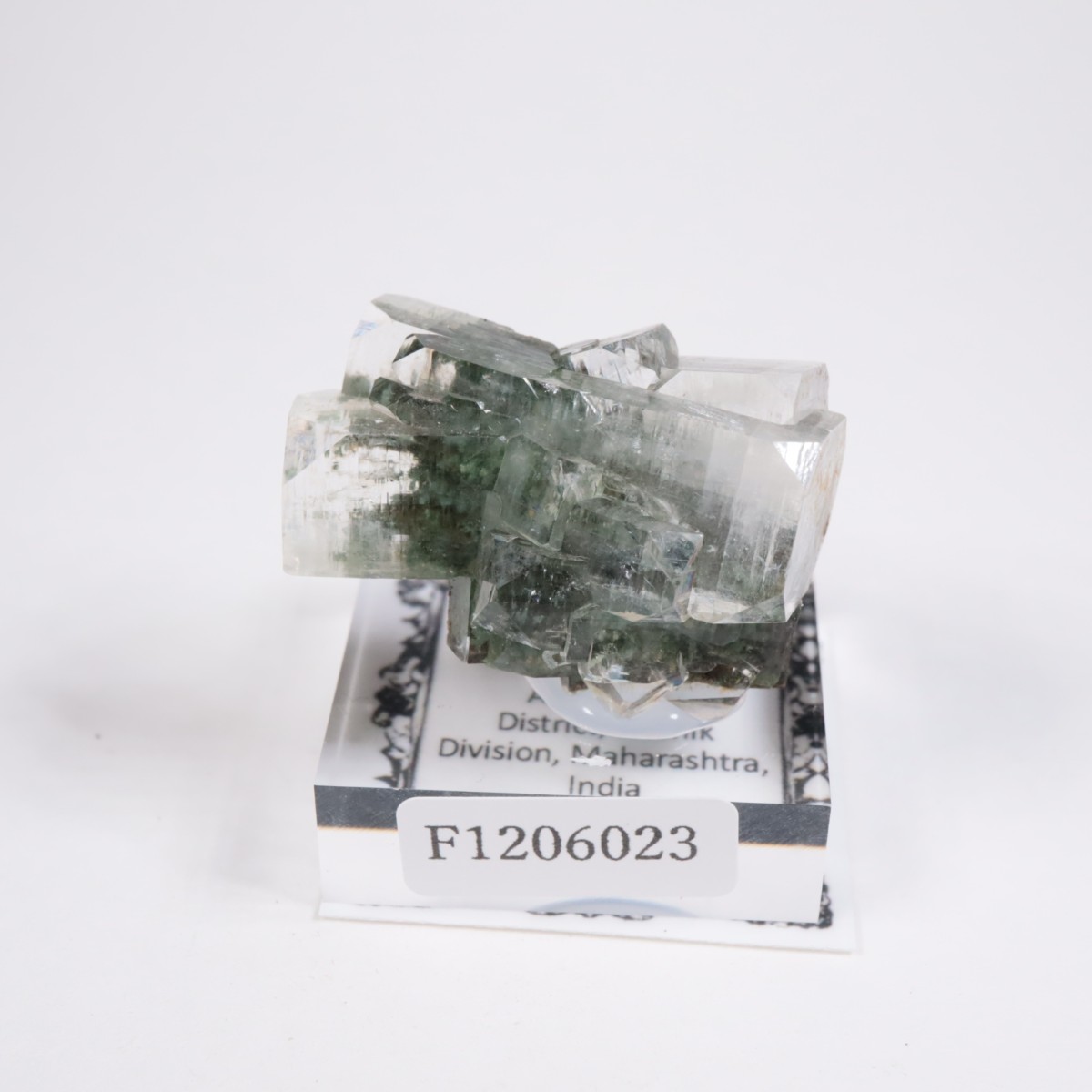 ����ɻ� ���ݥե��饤��