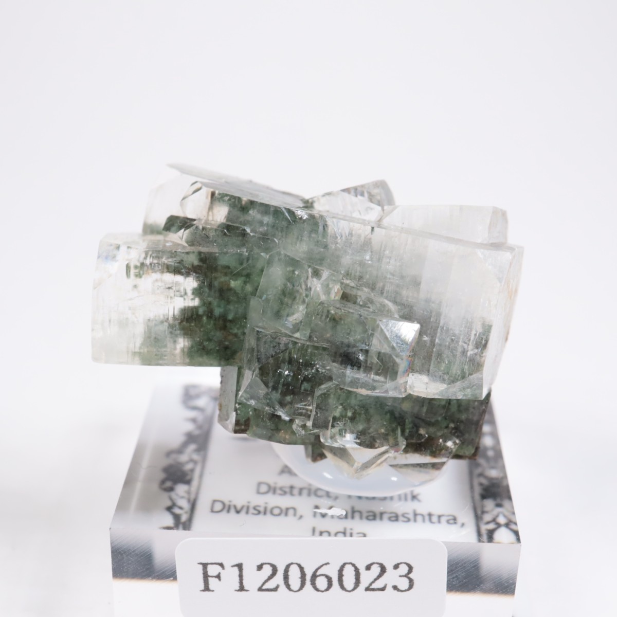 ����ɻ� ���ݥե��饤��