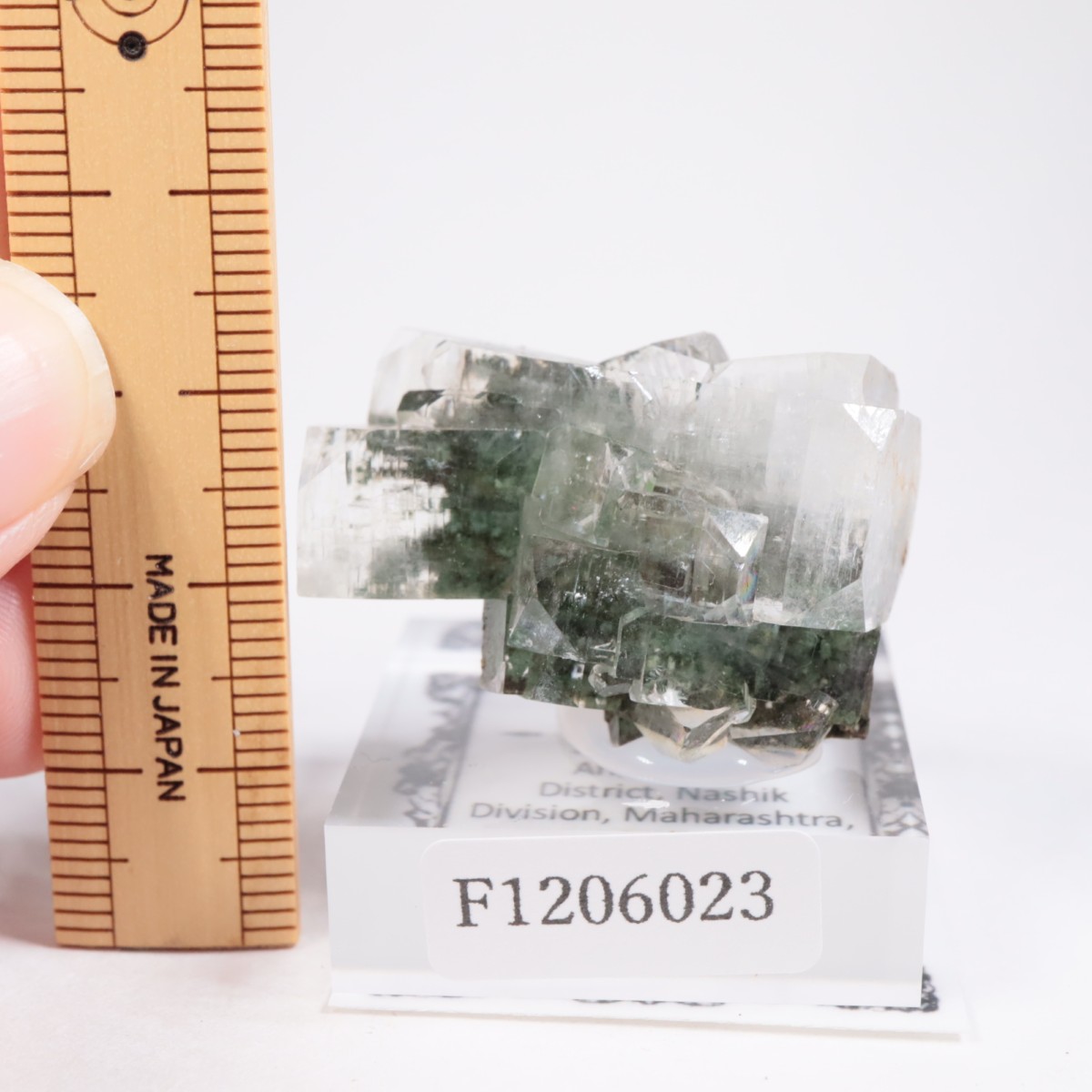 ����ɻ� ���ݥե��饤��