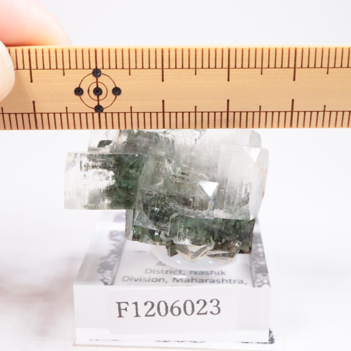 ����ɻ� ���ݥե��饤��