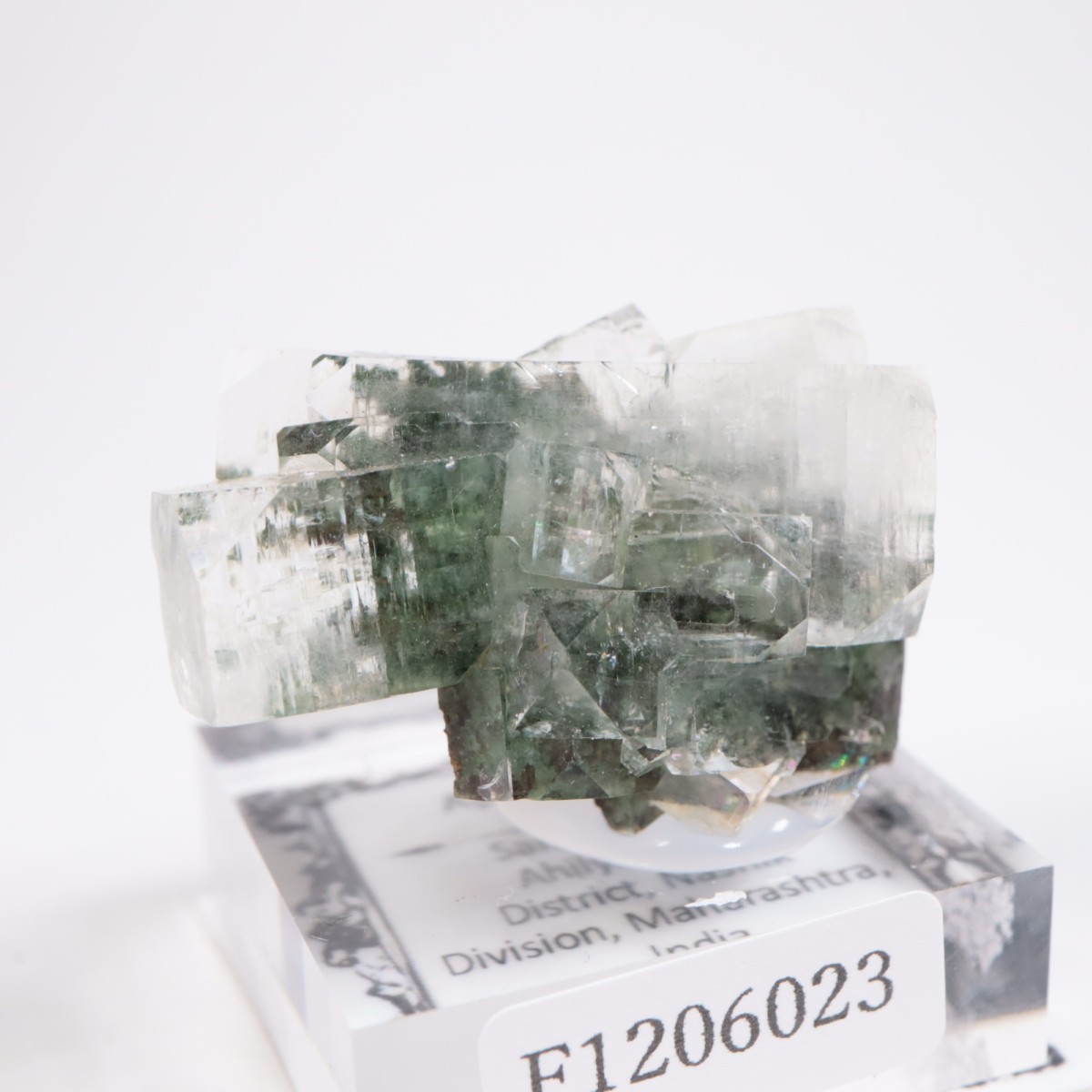 ����ɻ� ���ݥե��饤��