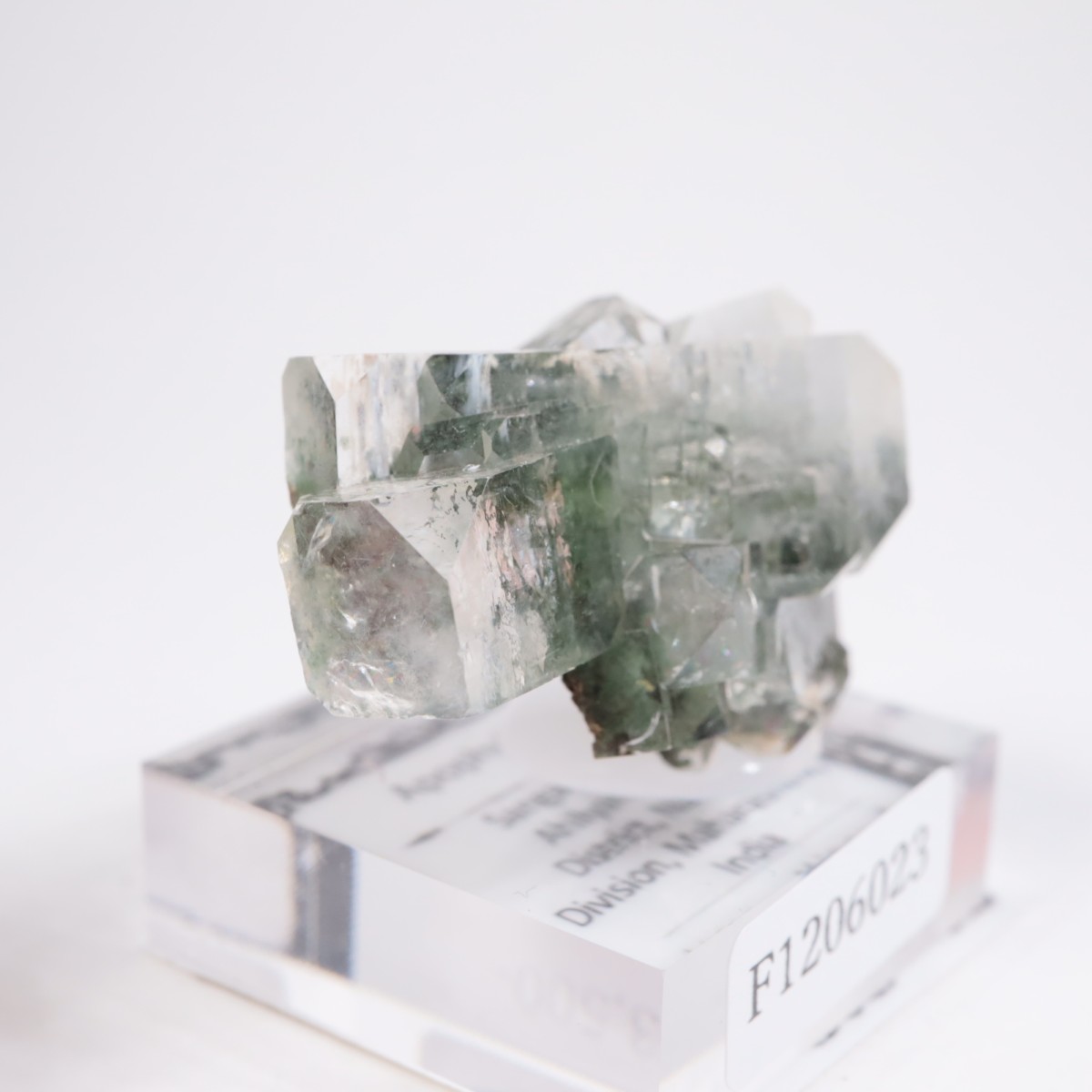 ����ɻ� ���ݥե��饤��