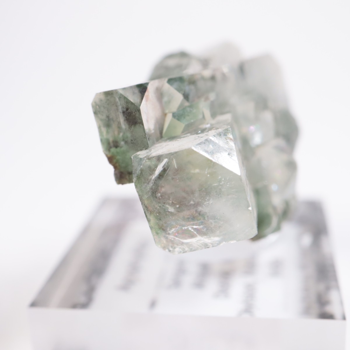 ����ɻ� ���ݥե��饤��