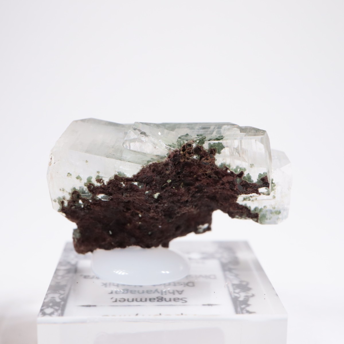 ����ɻ� ���ݥե��饤��