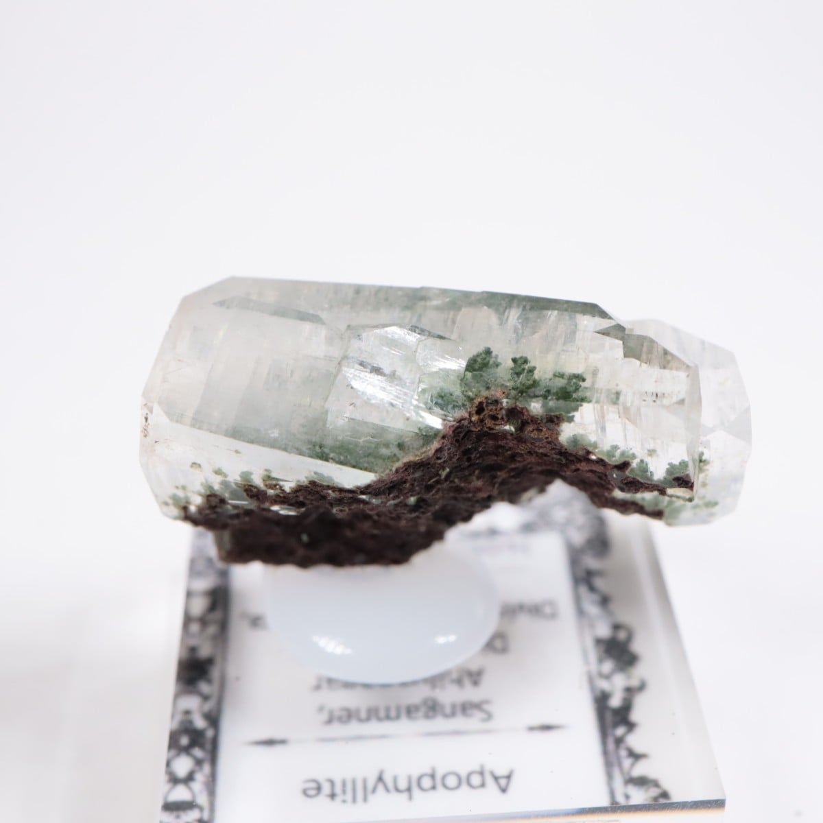 ����ɻ� ���ݥե��饤��