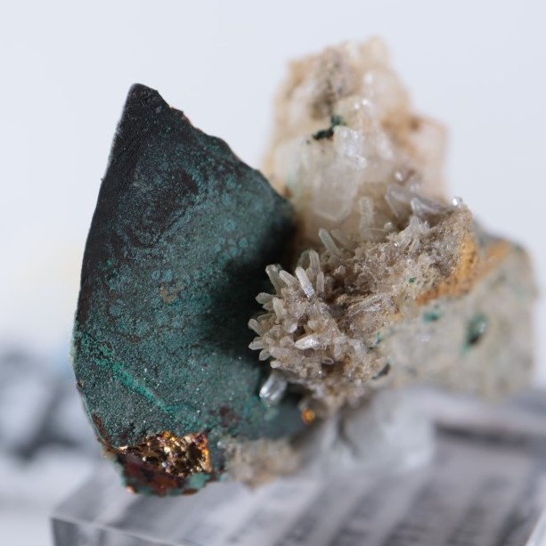 �˥塼�ᥭ�����������ޥ饫����