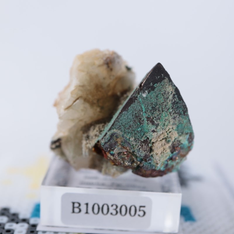 �˥塼�ᥭ�����������ޥ饫����