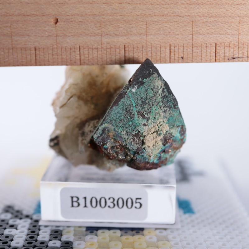 �˥塼�ᥭ�����������ޥ饫����