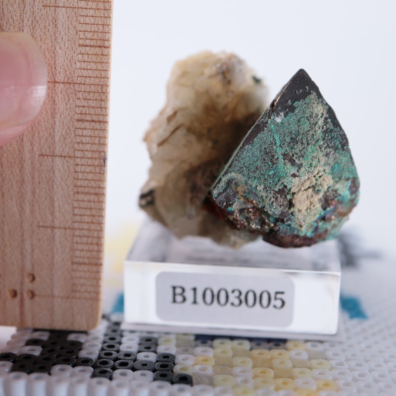 �˥塼�ᥭ�����������ޥ饫����