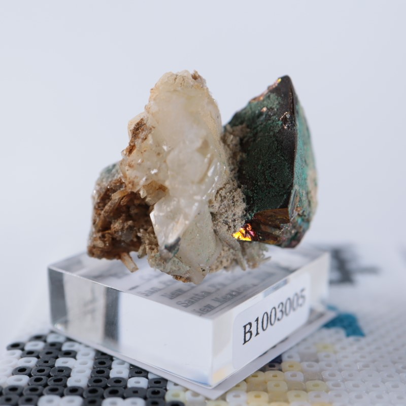 �˥塼�ᥭ�����������ޥ饫����