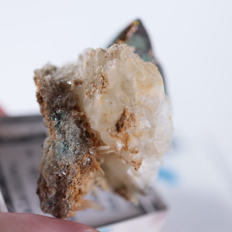 �˥塼�ᥭ�����������ޥ饫����