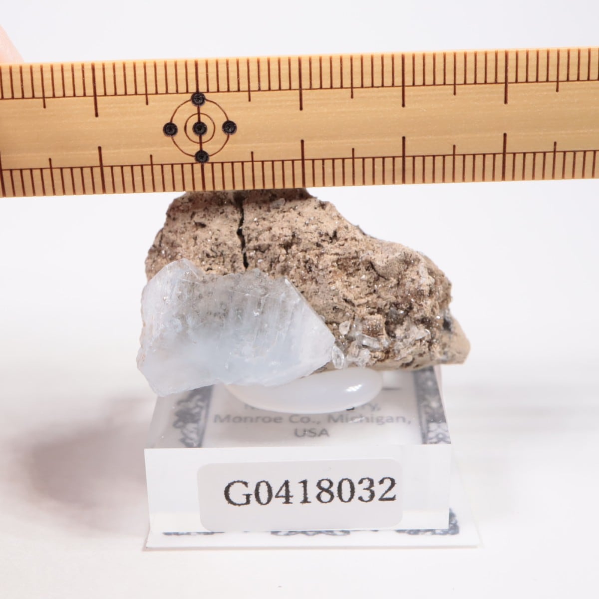 �ߥ����󽣻� ���쥹�ƥ���