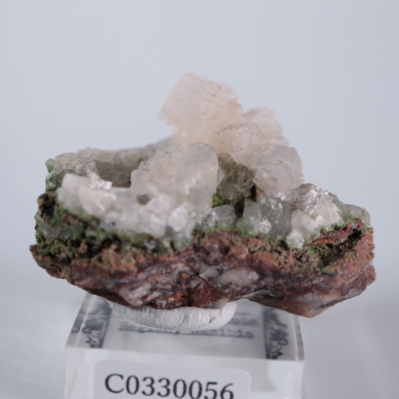 ツメブ鉱山 カルサイト | 鉱物標本,カ行,カルサイト/方解石 | ほたるみ