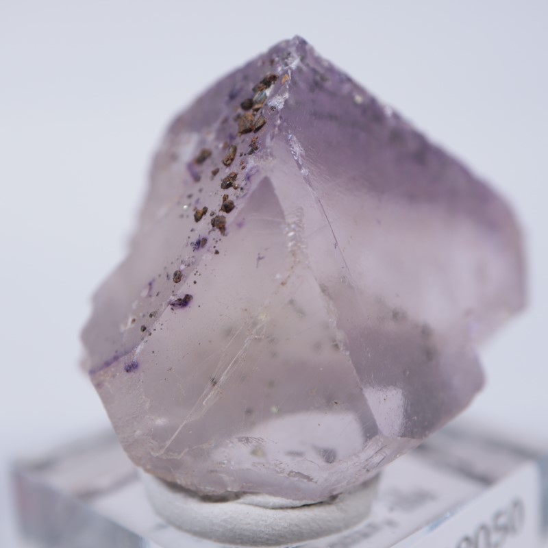 イリノイ州 フローライト | 鉱物標本,ハ行,フローライト/蛍石