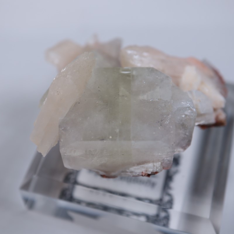 Nashik�������ݥե��饤��