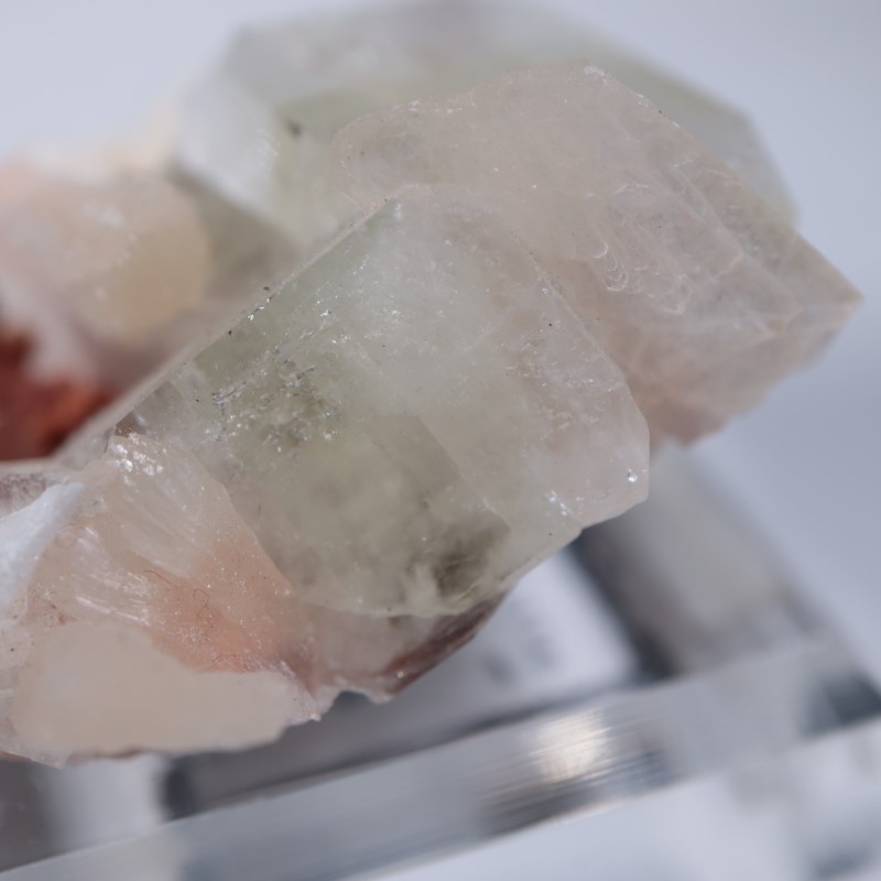 Nashik�������ݥե��饤��