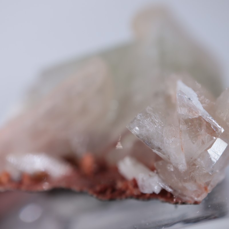 Nashik�������ݥե��饤��