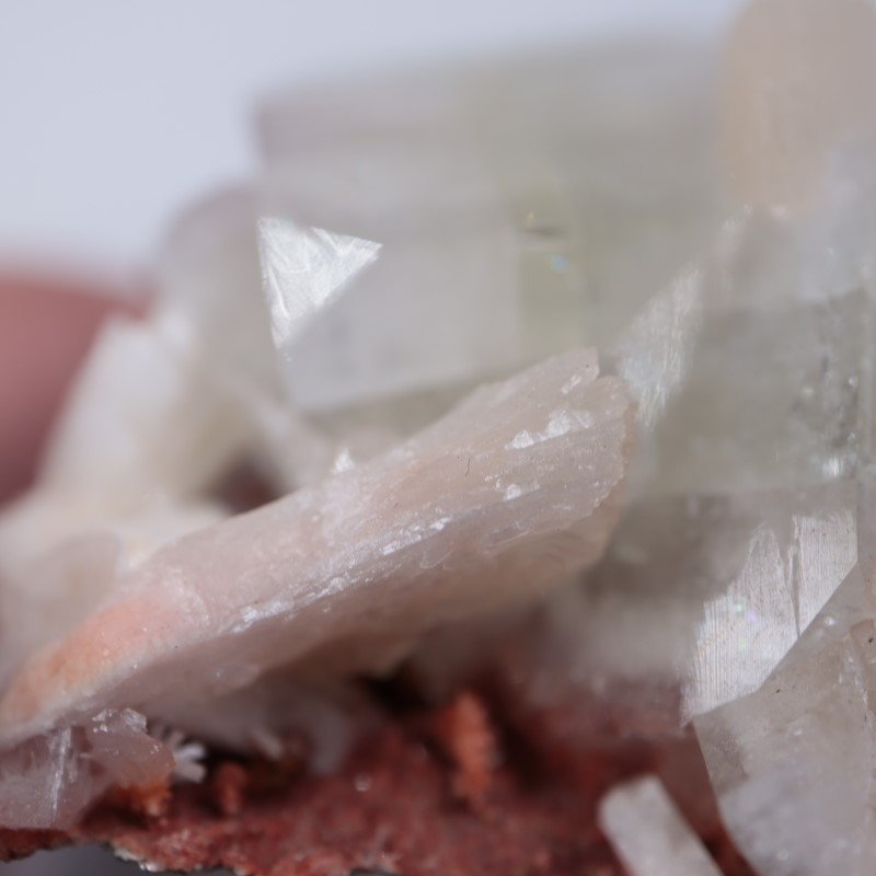 Nashik�������ݥե��饤��