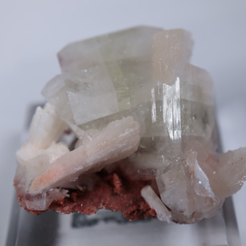 Nashik�������ݥե��饤��