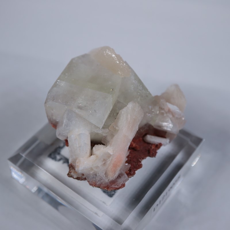 Nashik�������ݥե��饤��