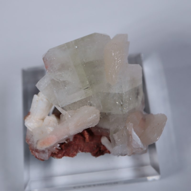 Nashik�������ݥե��饤��