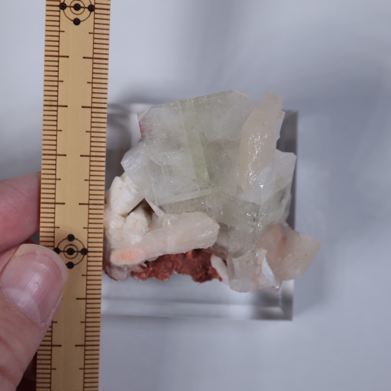 Nashik�������ݥե��饤��