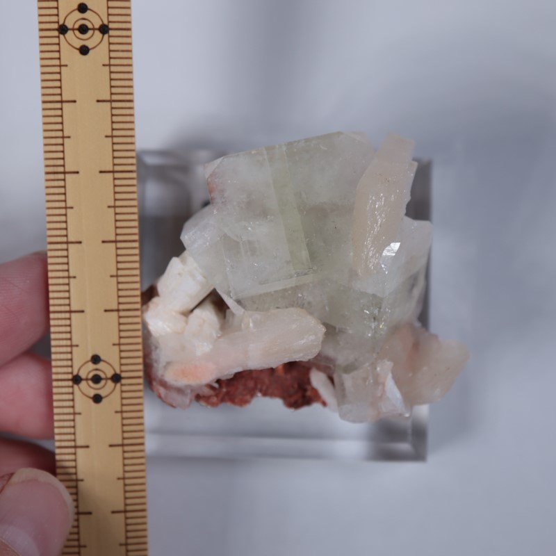 Nashik�������ݥե��饤��