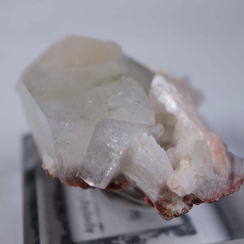 Nashik�������ݥե��饤��