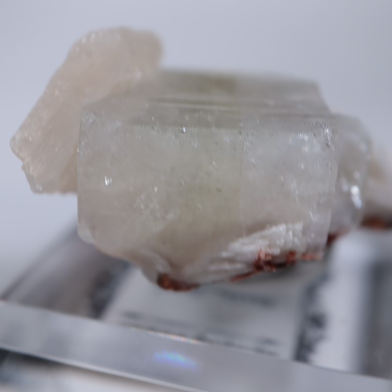 Nashik�������ݥե��饤��