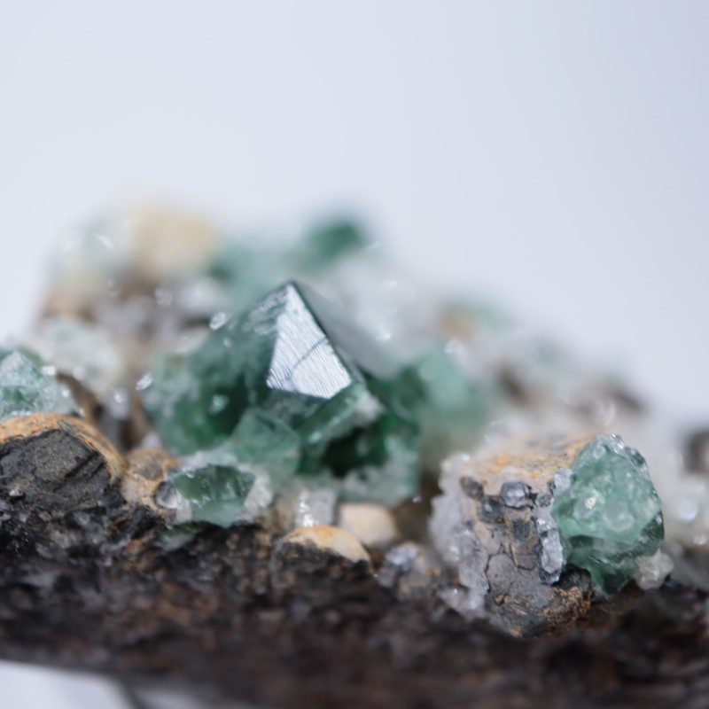 蛍石 Druzy Dreams Pocket UK 鉱物［SND-2872］ Druzy Dreams Pocket 蛍石 | 鉱物標本,ハ行,フローライト/蛍石