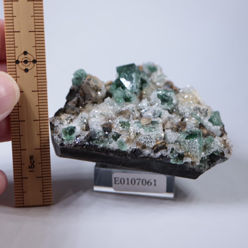 Druzy Dreams Pocket 蛍石 | 鉱物標本,ハ行,フローライト/蛍石,フロー