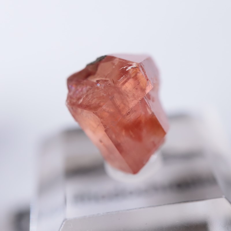 Santa Eulalia���������ɥ���������