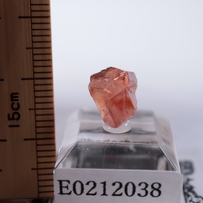 Santa Eulalia���������ɥ���������