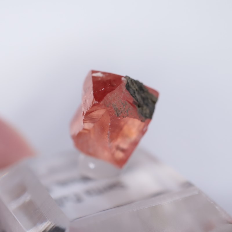 Santa Eulalia���������ɥ���������