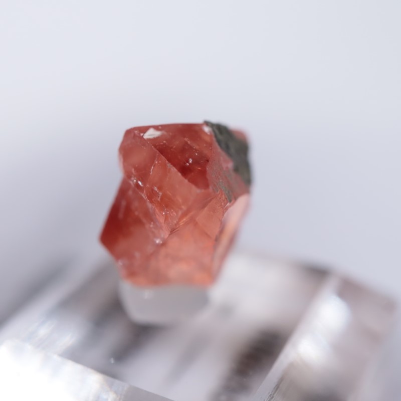 Santa Eulalia���������ɥ���������