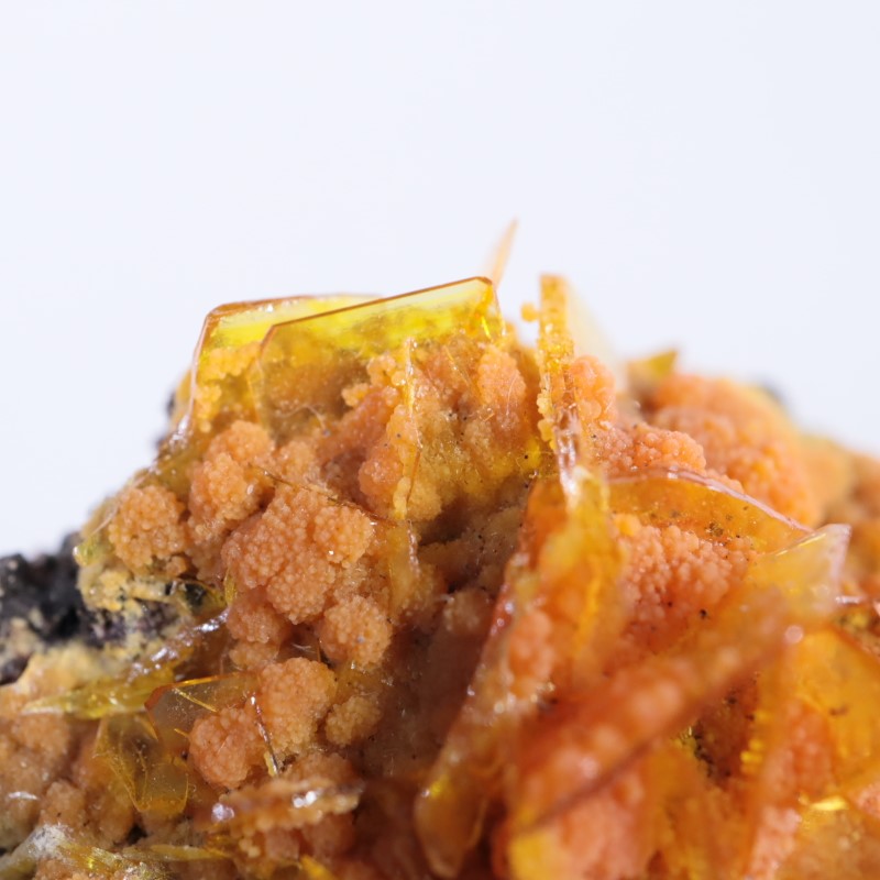 Rowley�ۻ�������ե��ʥ��ȡ��ߥ�å�����