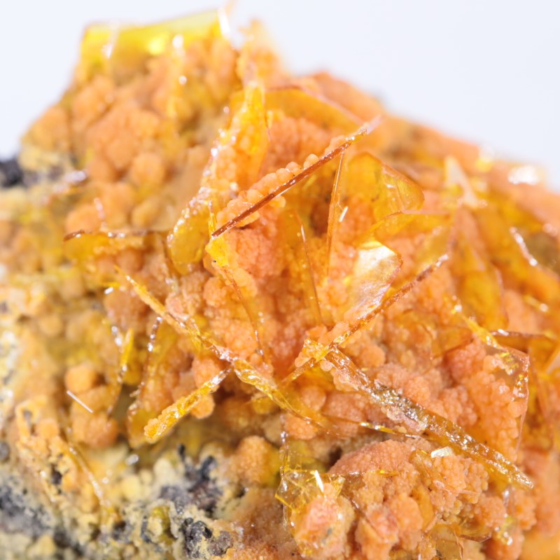 Rowley�ۻ�������ե��ʥ��ȡ��ߥ�å�����