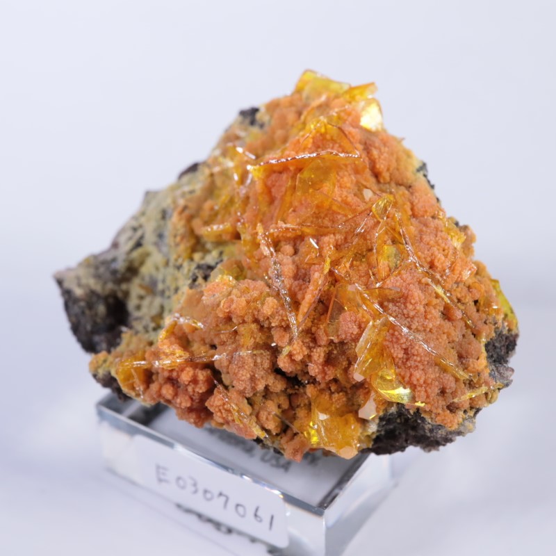 Rowley�ۻ�������ե��ʥ��ȡ��ߥ�å�����