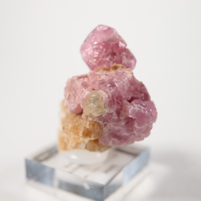 ���󥶥˥��������ԥͥ�