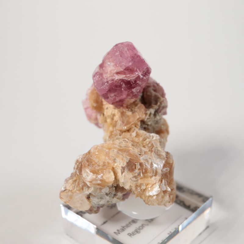 ���󥶥˥��������ԥͥ�