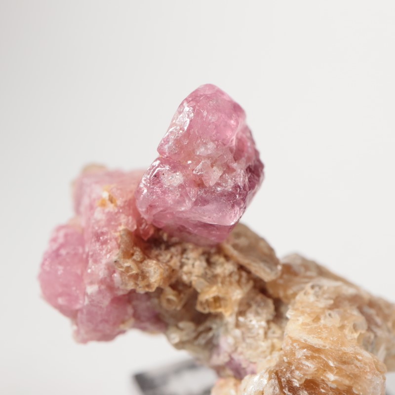 ���󥶥˥��������ԥͥ�