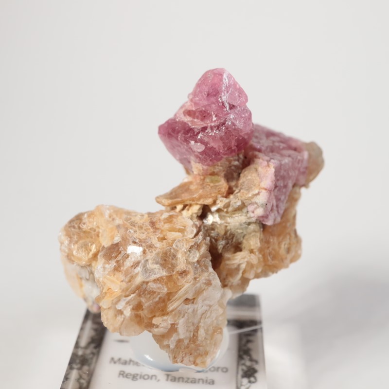 ���󥶥˥��������ԥͥ�