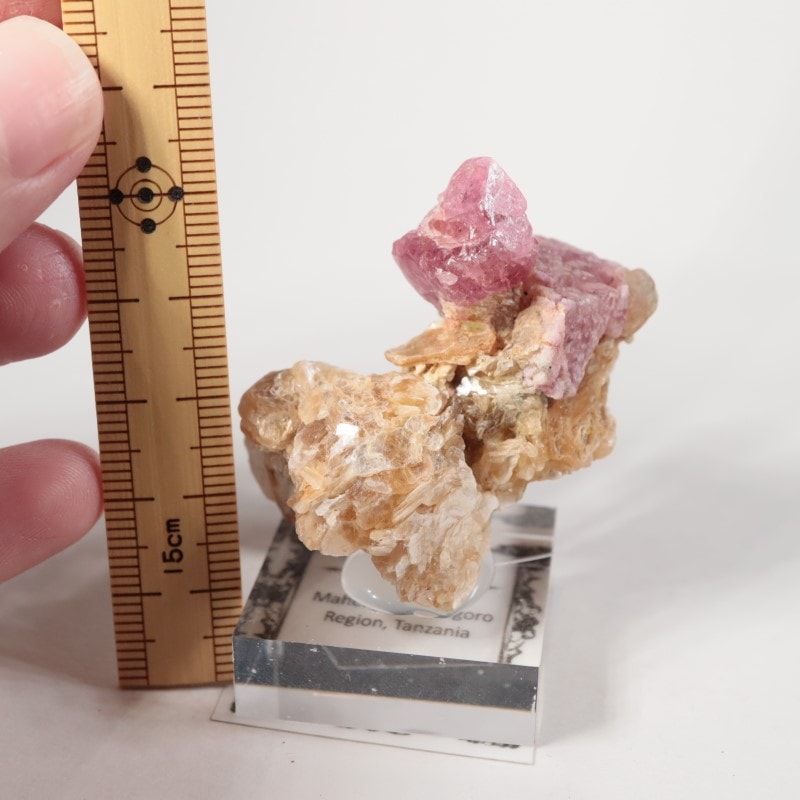 ���󥶥˥��������ԥͥ�