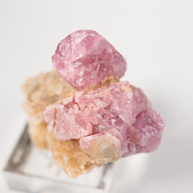 ���󥶥˥��������ԥͥ�