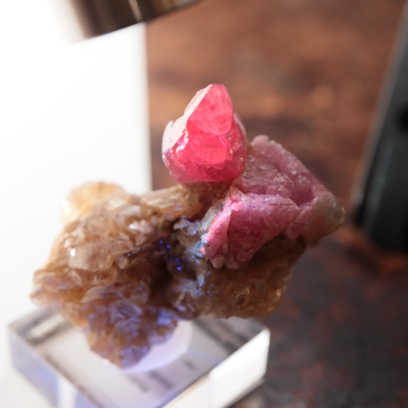 ���󥶥˥��������ԥͥ�