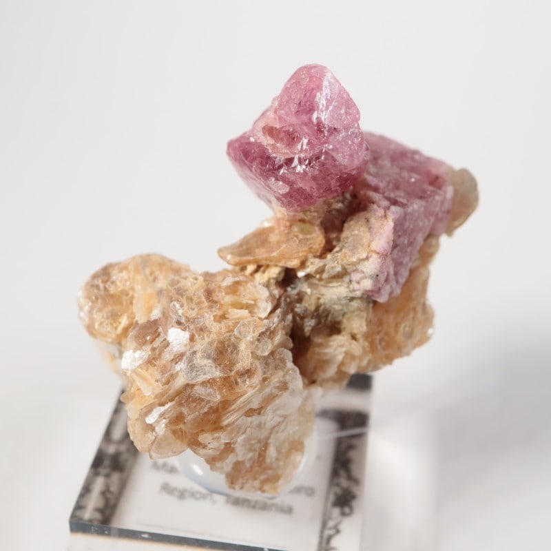 ���󥶥˥��������ԥͥ�