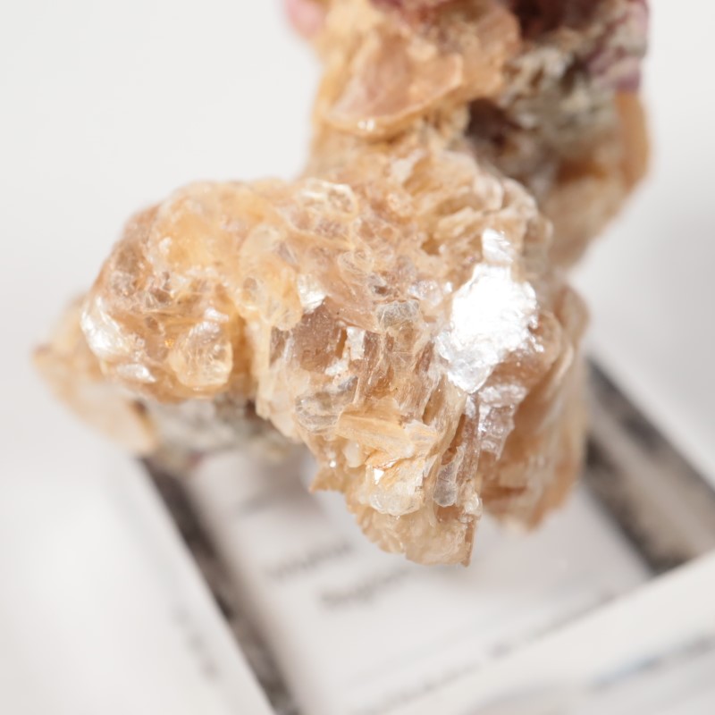 ���󥶥˥��������ԥͥ�