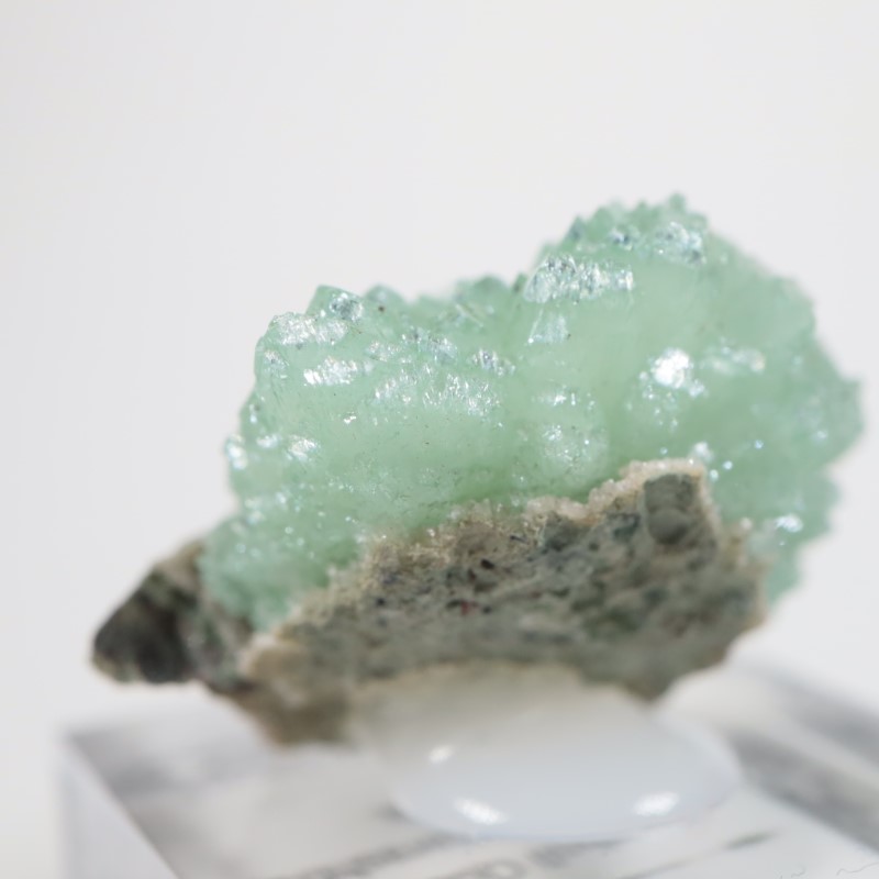 Wagholi�������ݥե��饤��