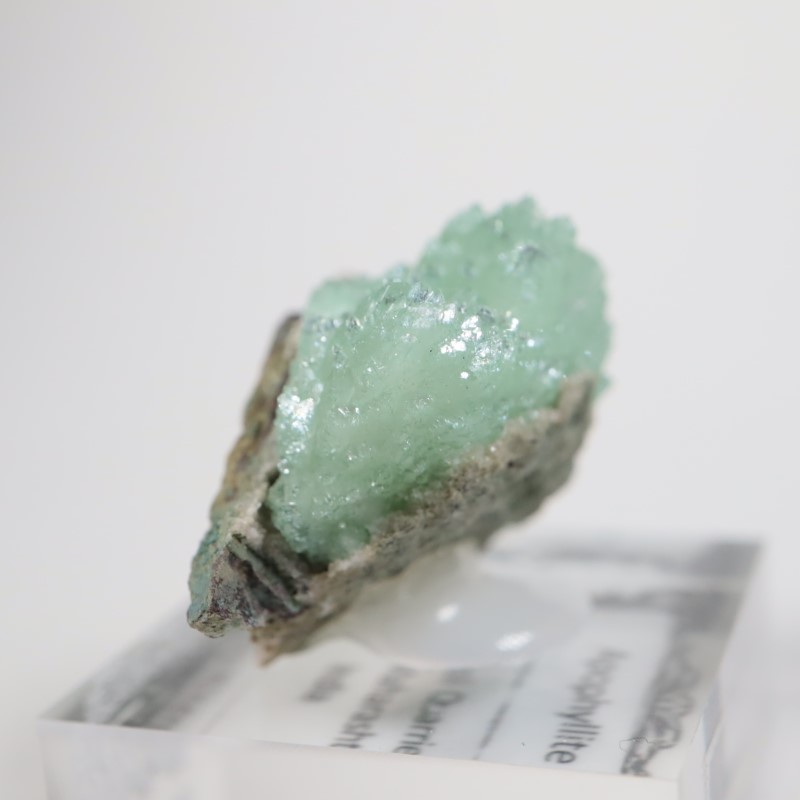 Wagholi�������ݥե��饤��