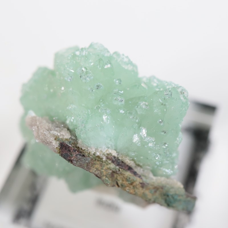 Wagholi�������ݥե��饤��